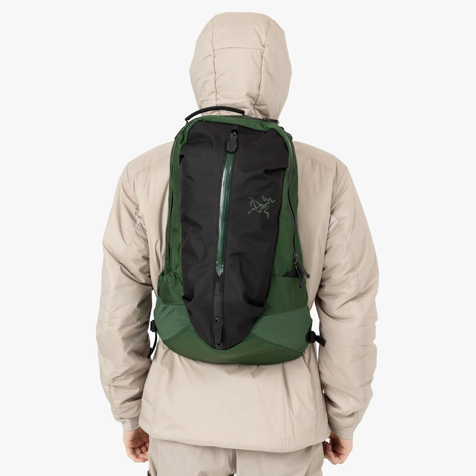 Arc'teryx Arro 22 Backpack / Eden